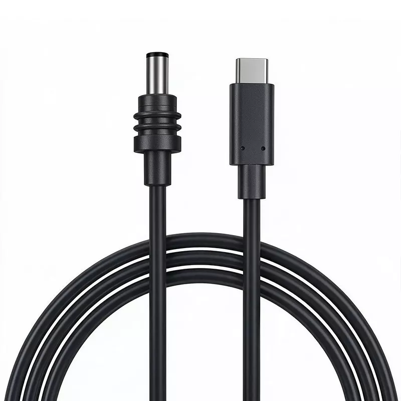 Starlink Mini-DC-Stromkabel auf USB-C-Kabel